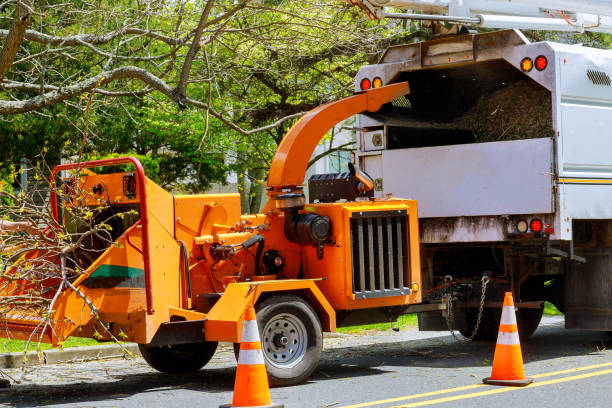  Beaver Falls, PA Tree Removal and Landscaping Services Pros